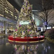 ぬんぬんぬんの画像
