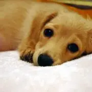 ☆ハル☆