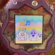 コアラの弟子の画像