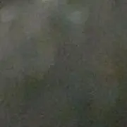 パペットすんすんの画像