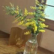 しらたま子の画像