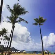 SA-HA☆mamの画像