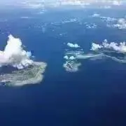 メルルーサの画像