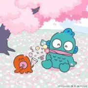 さくらんぼ