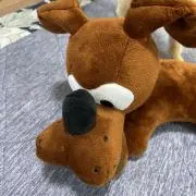 なつなつの画像
