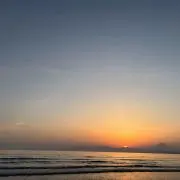 あっちこっちの画像