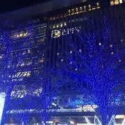 まだいの画像