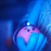 ぴぃの画像