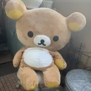 せりの画像