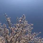 びびびん♡購入前にコメントください！
