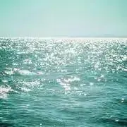 ボップの画像