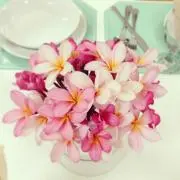 しょうこの画像