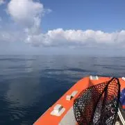 魚大好き太郎