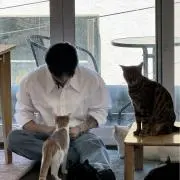 aの画像