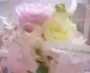 みいの画像