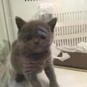 なんだかな〜