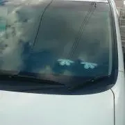 ぱぱちん