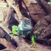 てんこもり。