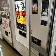 シナモンの画像