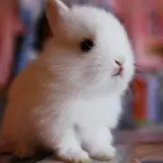 ヒロ