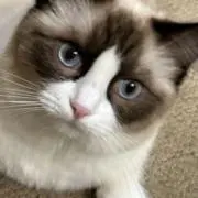 ここあパパ (=^ェ^=)農家奮闘中!