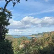 ココの画像