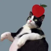 ぱーさん