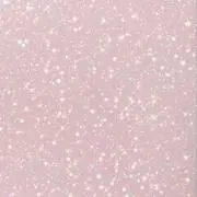 ぴの画像