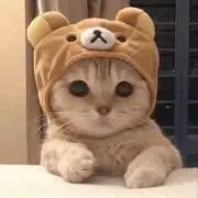 ♬の画像