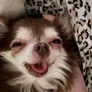 Mim