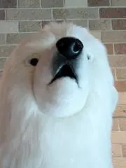 RAGの画像