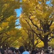 nanaの画像