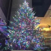 a❤︎ プロフィール必読お願いします！の画像