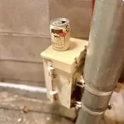 チチャスの画像