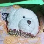 miの画像