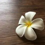 チャッキー20の画像