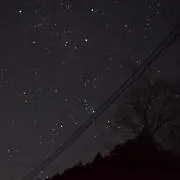 shinの画像