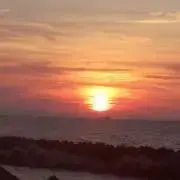 ボブサップ