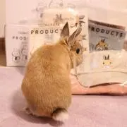 あやねの画像