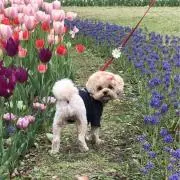 なおりんの画像