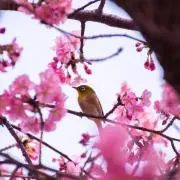 ピロシキの画像