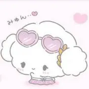 pokoの画像