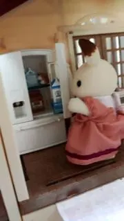 rinmaiの画像