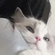 りんの画像