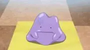 めたもんの画像