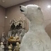 ねむねむ(プロフィール必読)の画像