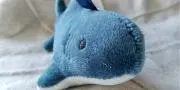 とんとんの画像