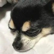 ヒロ