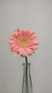 まるすけ　プロフ必読お願いしますの画像