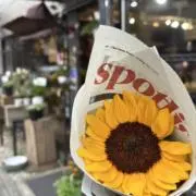 HANA【24時間以内発送】の画像
